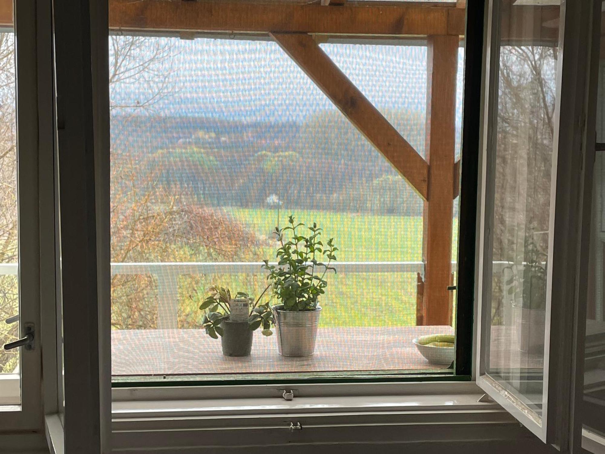 Stupa-Rezi-Tatika-Haz Appartement Zalaszanto Buitenkant foto