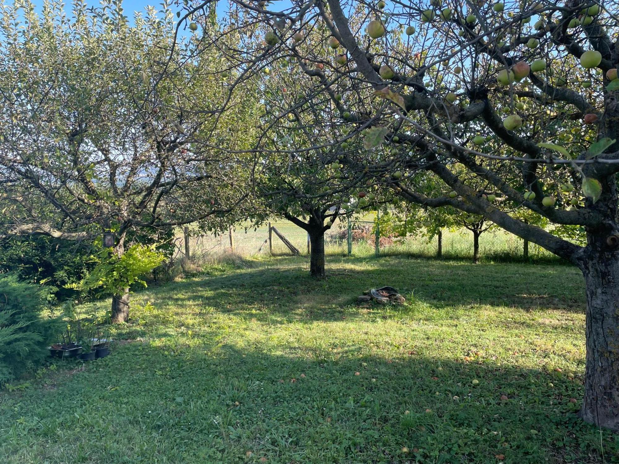 Stupa-Rezi-Tatika-Haz Appartement Zalaszanto Buitenkant foto