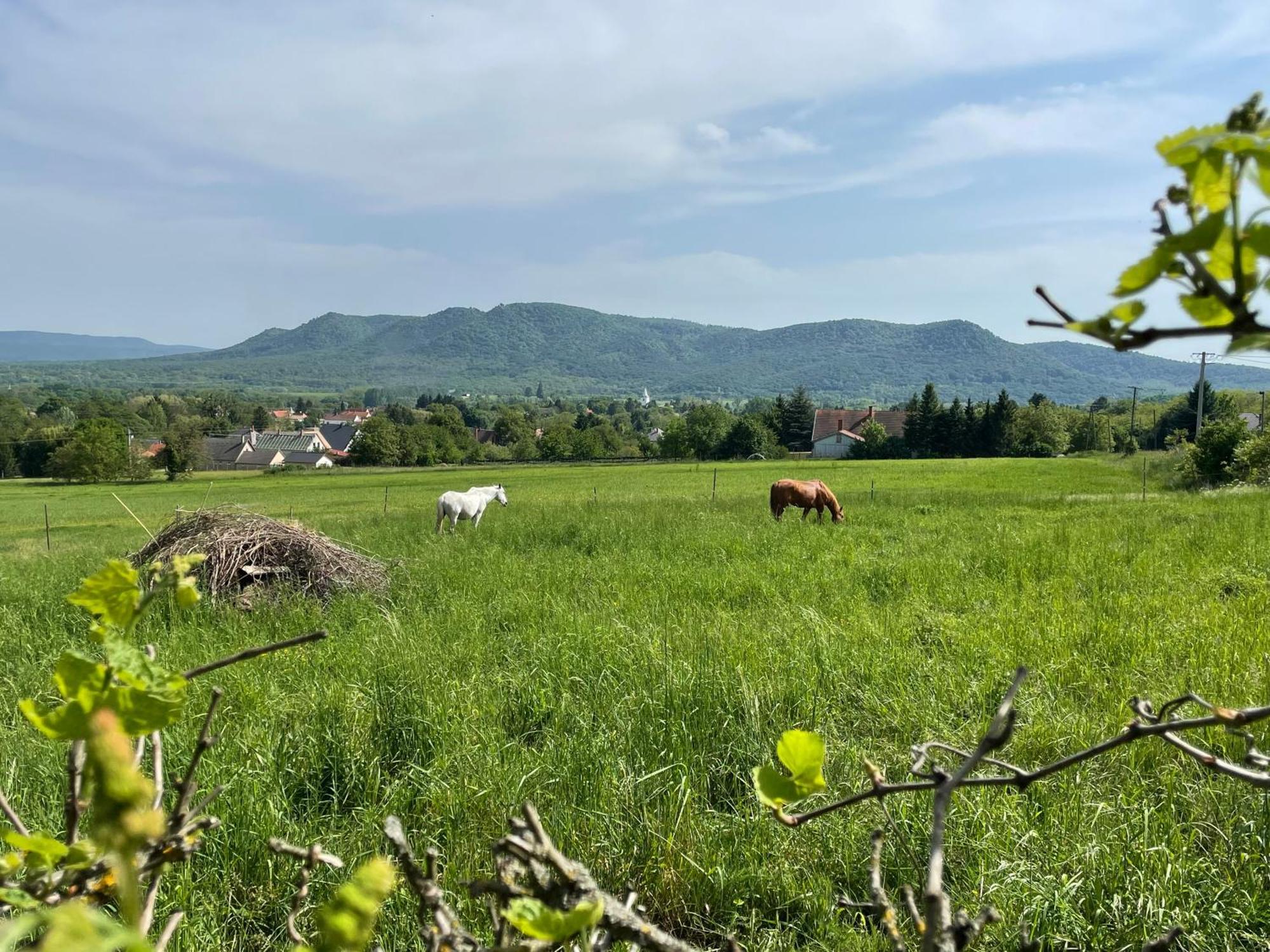 Stupa-Rezi-Tatika-Haz Appartement Zalaszanto Buitenkant foto